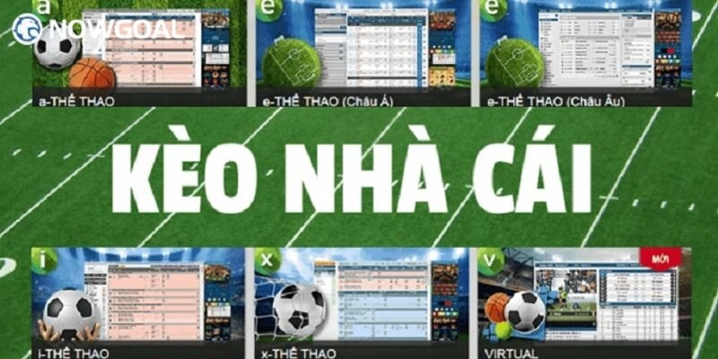 Kèo 1/1.5 Nowgoal – Mọi Thông Tin Người Mới Chơi Hiệu Quả