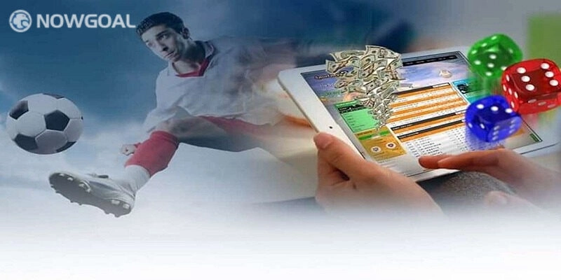 kết quả bóng đá lu và đặt cược tại Nowgoal