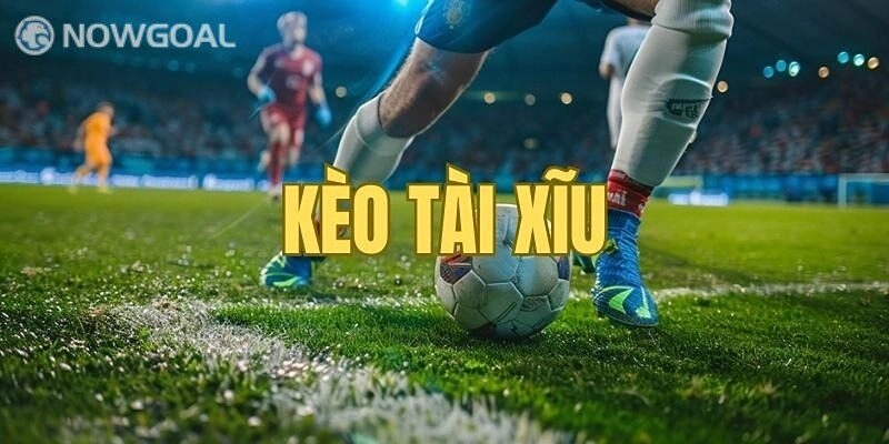 Tỷ Lệ Kèo Nowgoal – Thông Tin Bet Thủ Cần Biết Từ A đến Z