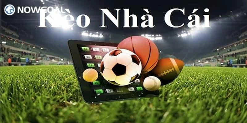 Kèo Thơm Nowgoal – Dấu Hiệu Nhận Biết Chuẩn Theo Chuyên Gia