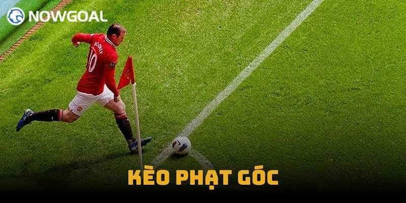 Kèo Góc Hôm Nay – Chia Sẻ Kinh Nghiệm Nhận Định Cực Chuẩn