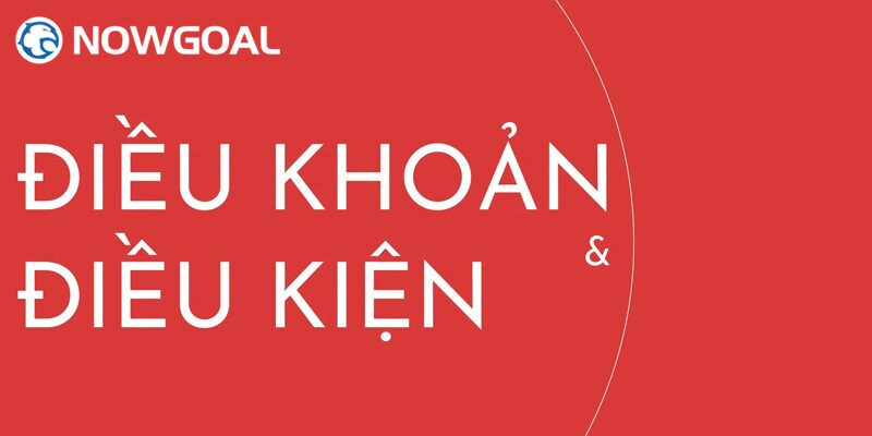 Cam kết của Nowgoal trong điều khoản điều kiện