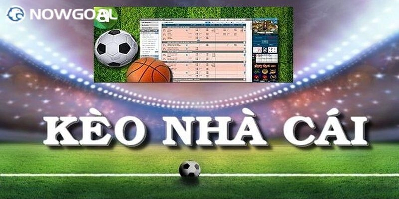 Esport Nowgoal – Nền Tảng Cá Cược Trực Tuyến Uy Tín Nhất