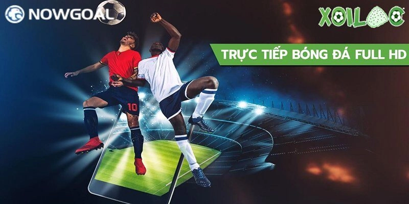 Trực Tiếp Bóng Đá Xoilac – Trải Nghiệm Hấp Dẫn Tại Nowgoal